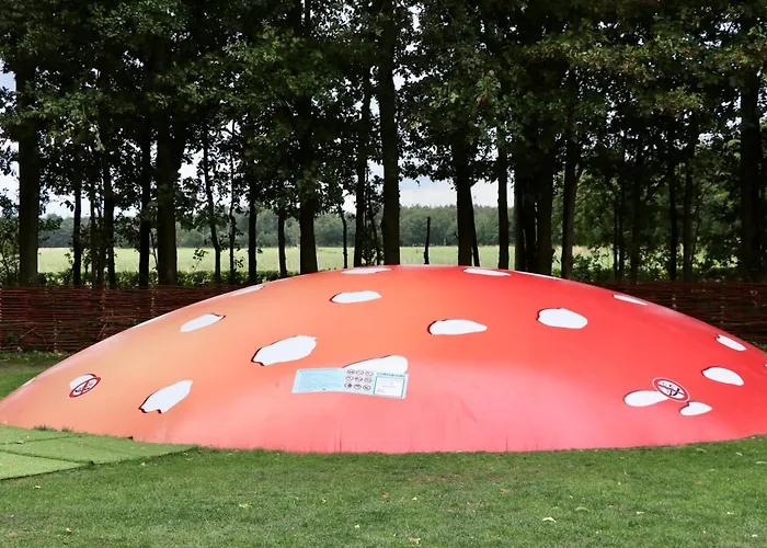 De Zwammenberg Campeggio De Moer