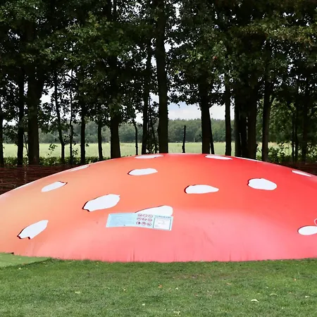 De Zwammenberg Camping De Moer